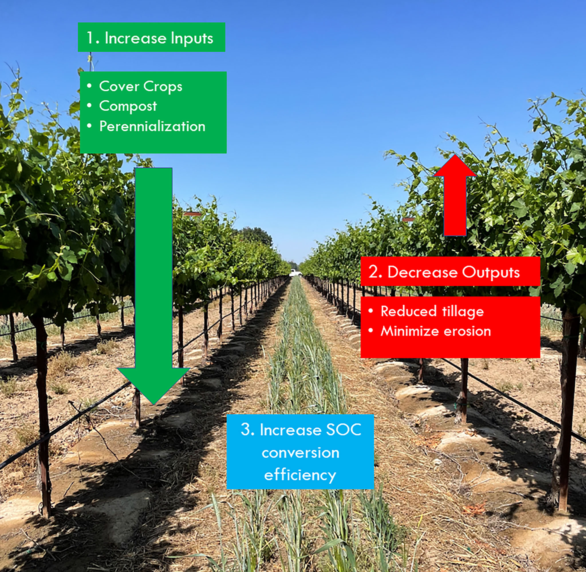 Influence of CO2 Control on the Efficiency of Agricultural Operations?  