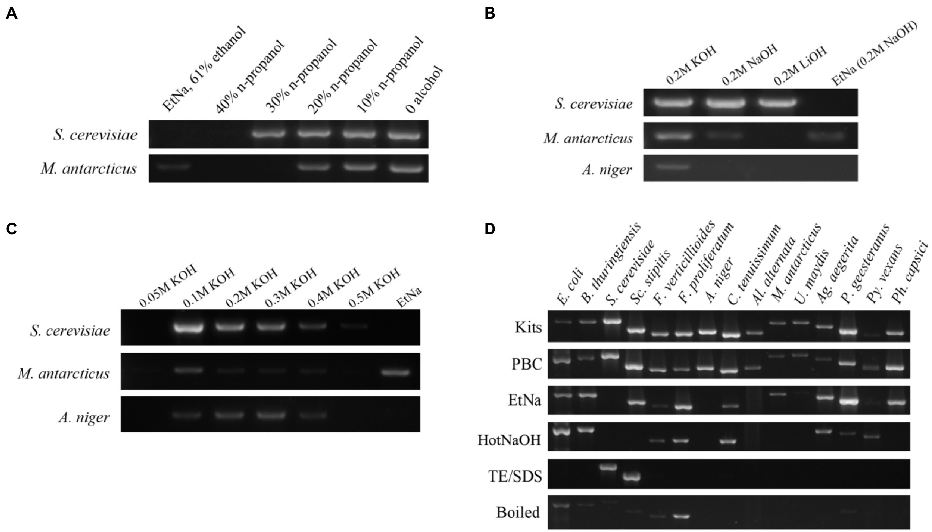 DNA sample analysis times dramatically reduced thanks to new file format