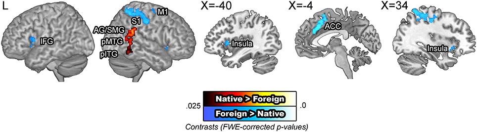 www.frontiersin.org