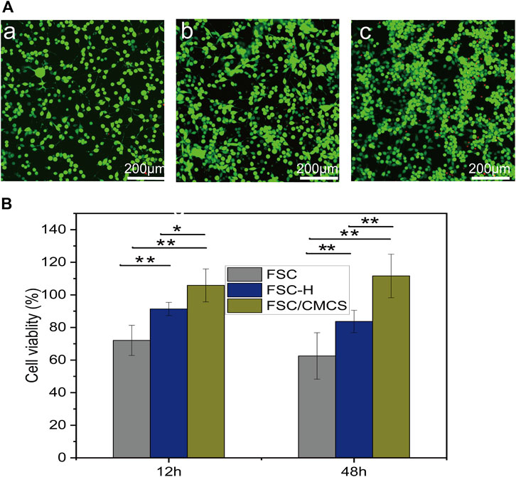 Hybrid Membranes Development Made by Chitosan and Calcium