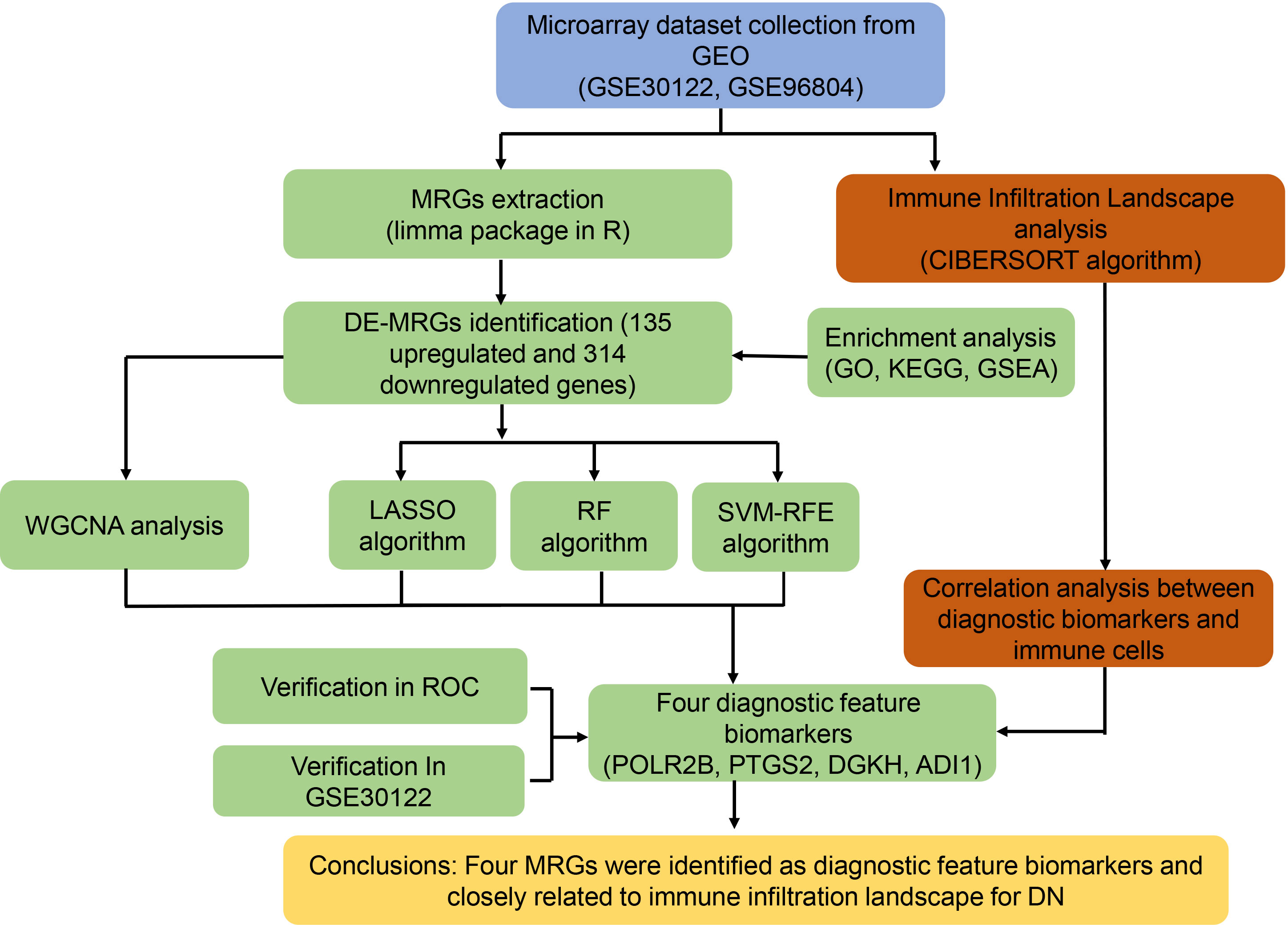 Studying the potential of upregulated PTGS2 and VEGF-C besides