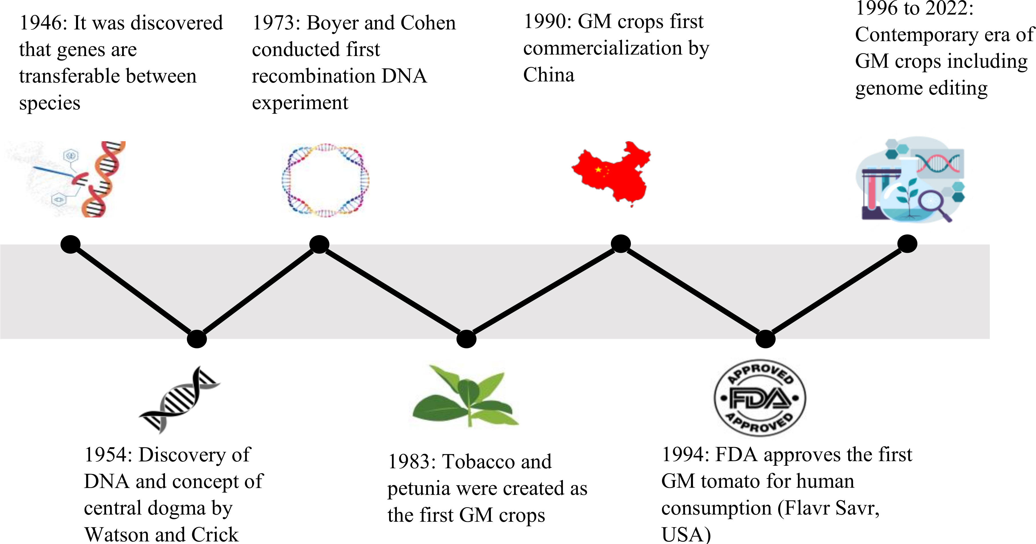 The development of GM crops aiding in the solution to world hunger.