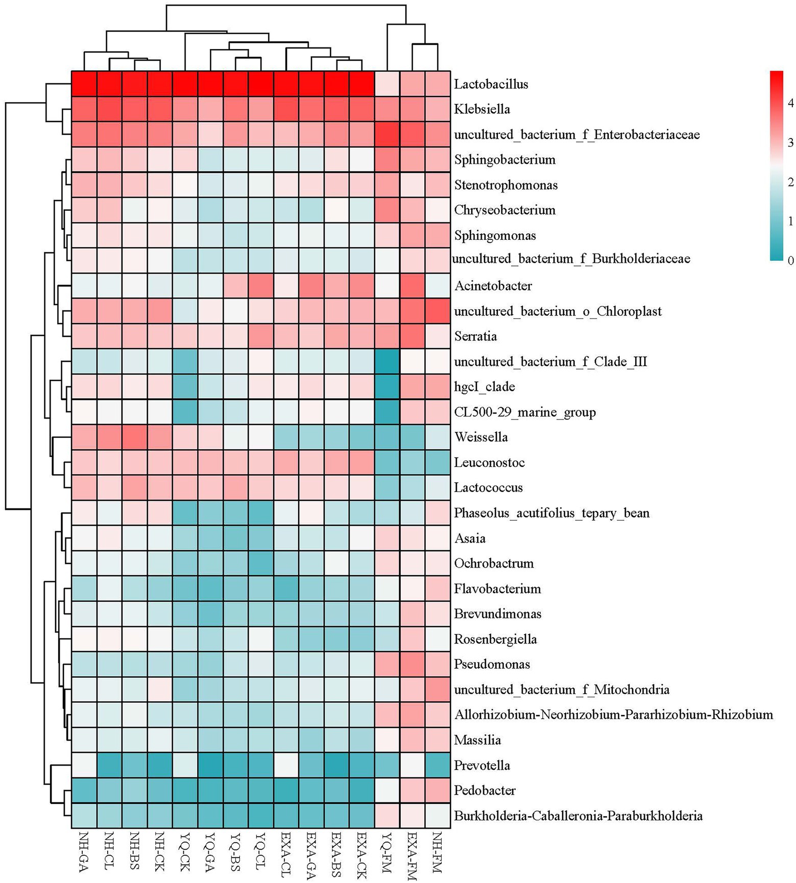 Frontiers | Effects of antibacterial peptide-producing Frontiers | Effects of antibacterial peptide-producing