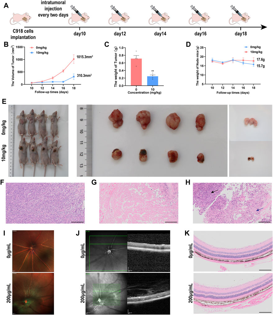 Frontiers | Highly tumoricidal efficiency of non-oxidized MXene-Ti3C2Tx ...