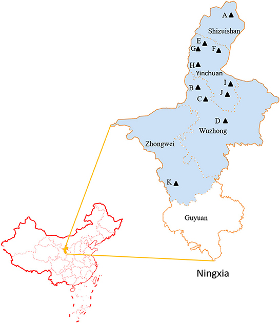 www.frontiersin.org