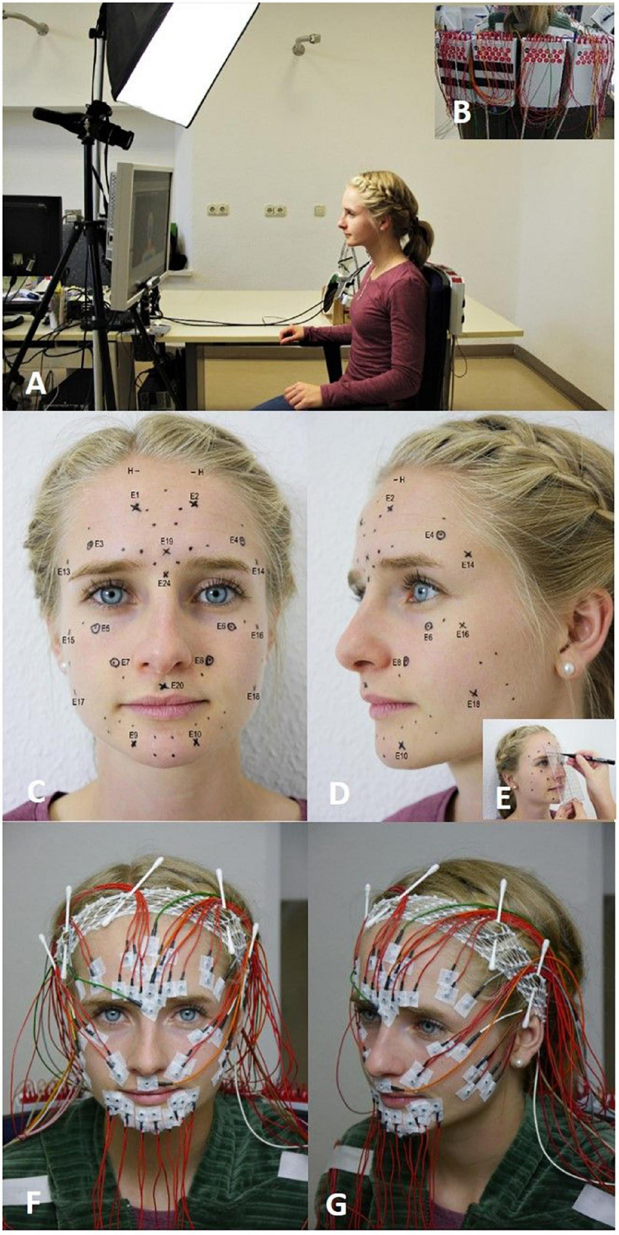 Frontiers  High-resolution surface electromyographic activities