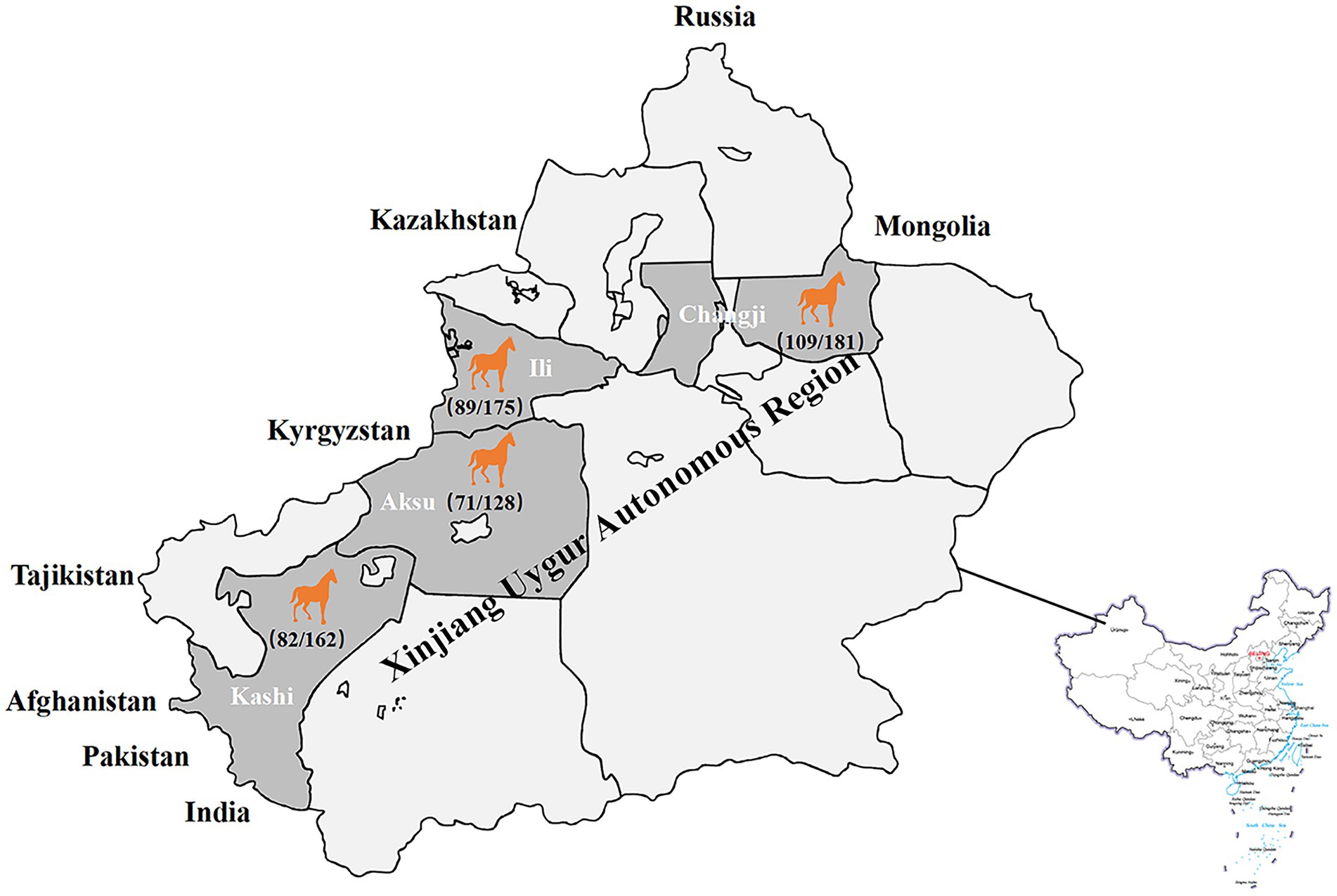 www.frontiersin.org