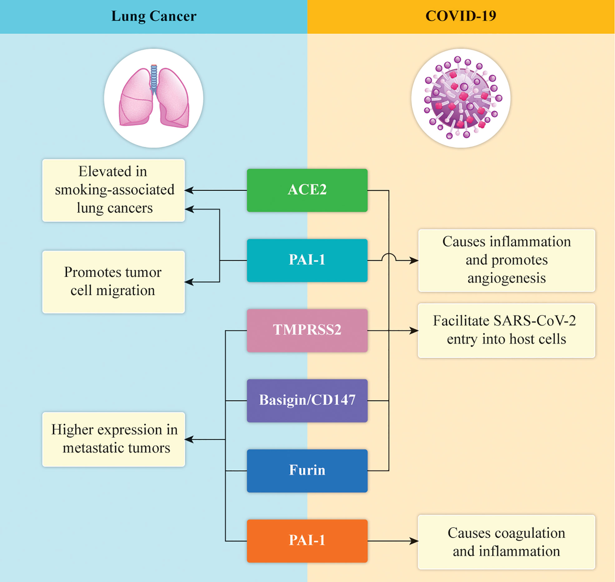 5 Return-to-Work Considerations for Cancer Patients and Survivors during  the Pandemic