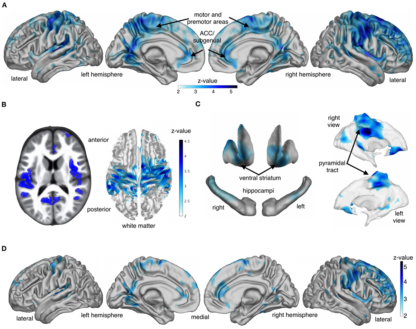 Frontiers  Testing hypotheses about the harm that capitalism causes to the  mind and brain: a theoretical framework for neuroscience research