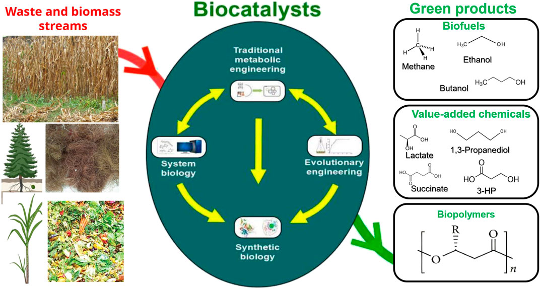 Frontiers Editorial Design And Application Of Biocatalysts For 
