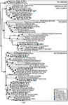 www.frontiersin.org