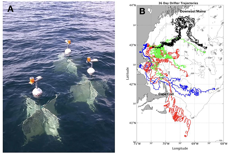 Figure 3 - (A) Ocean “drifters” equipped with GPS units were used to determine how larvae that hatch at various distances from the coastline are transported in ocean currents.