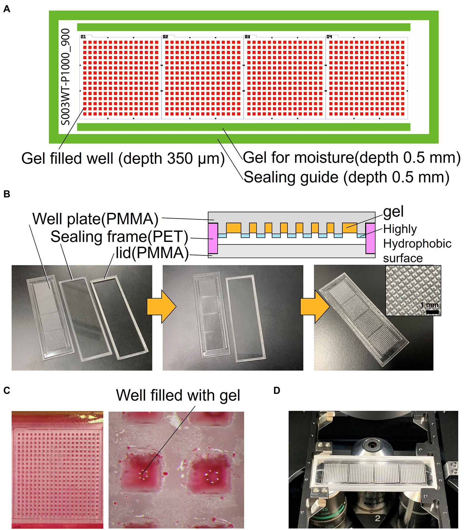 Frontiers  Low-cost gel-filled microwell array device for screening marine  microbial consortium