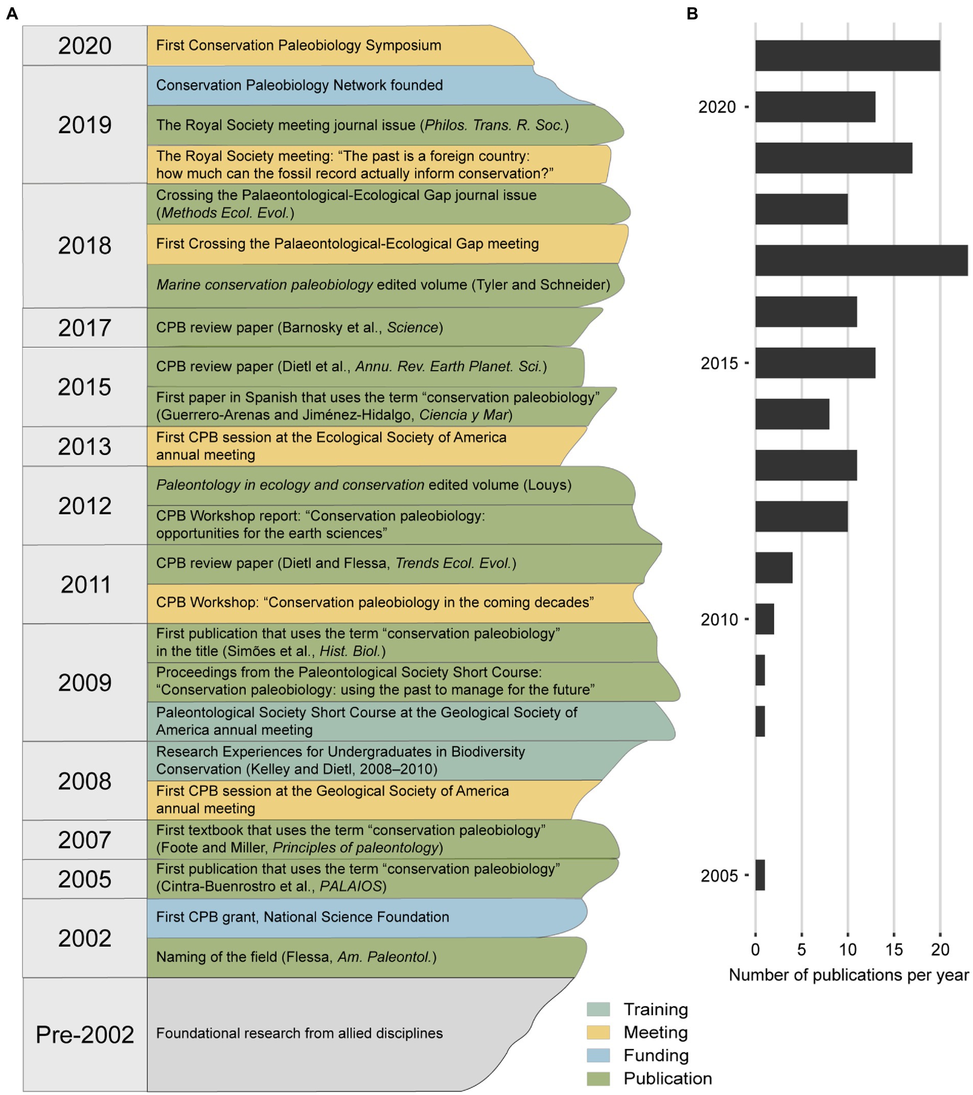 File:Compilr-online-c-compiler-screenshot.jpg - Wikipedia