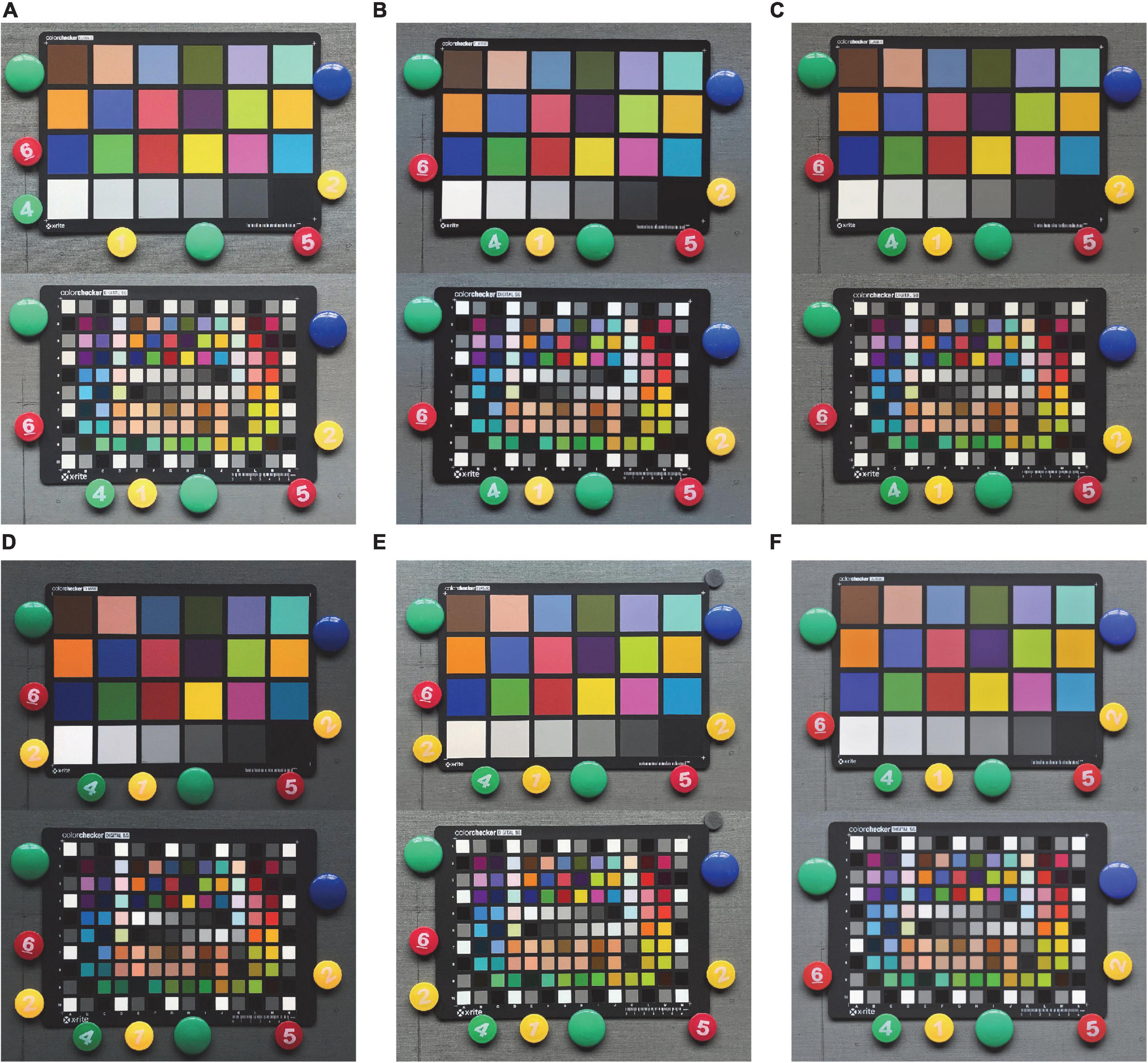 X-Rite Color Checker (CC) Classic array, with CIELab values