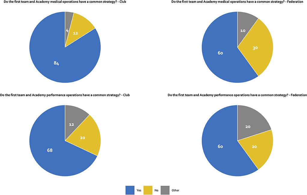 PDF) Football supporter cultures in modern-day Brazil