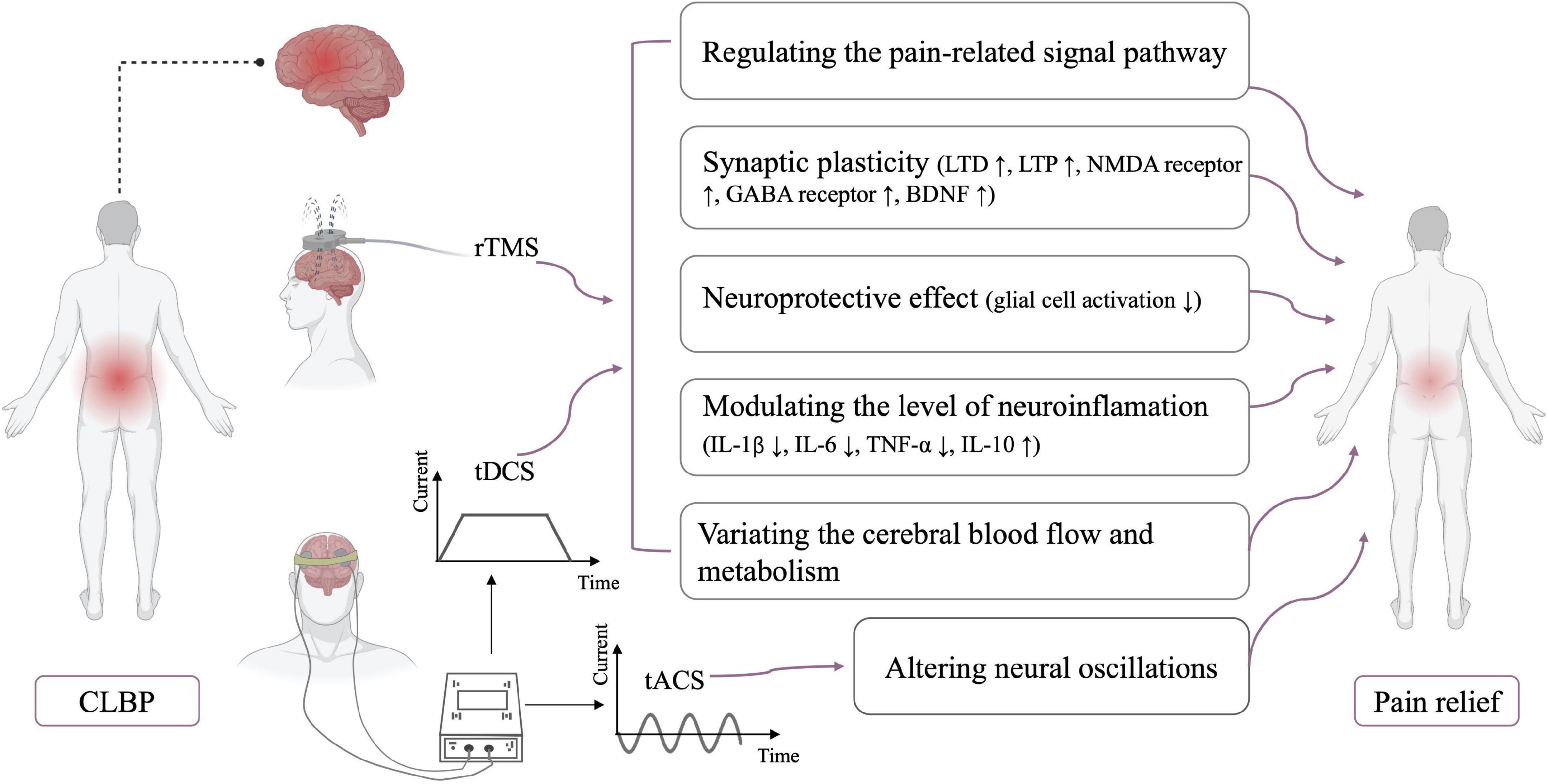 Deep learning to the rescue for chronic lower back pain