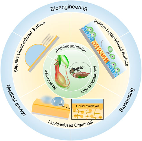 Lubricant-Infused Surfaces with Built-In Functional Biomolecules