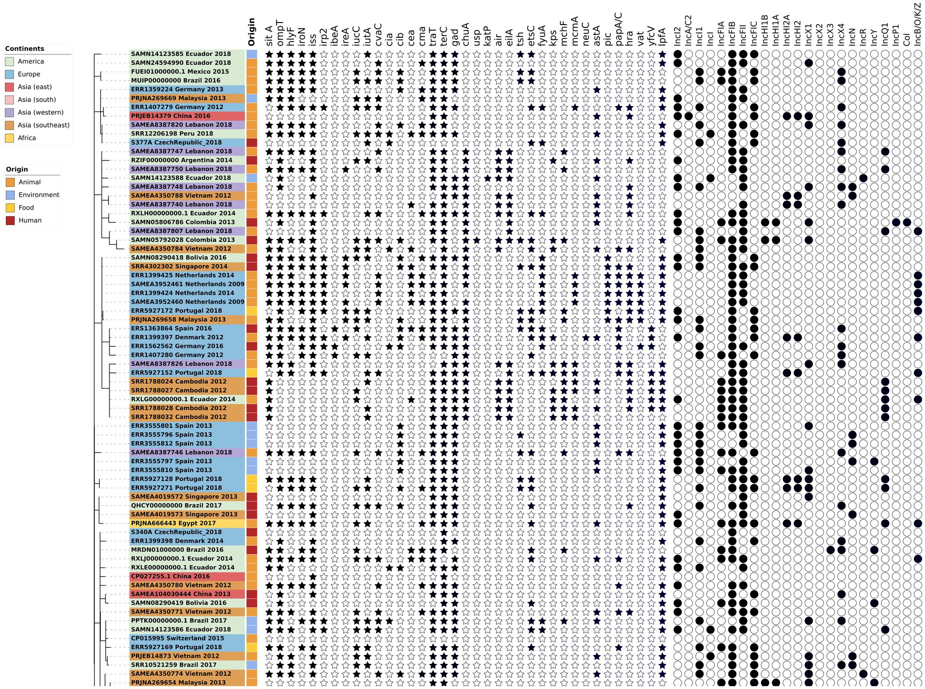 Frontiers  Genomic Characterization of mcr-1.1-Producing Escherichia coli  Recovered From Human Infections in São Paulo, Brazil