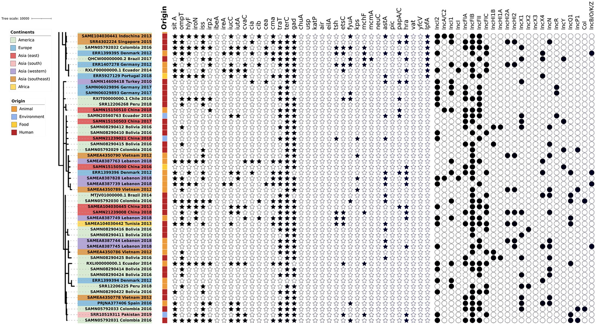 Frontiers  Genomic Characterization of mcr-1.1-Producing Escherichia coli  Recovered From Human Infections in São Paulo, Brazil