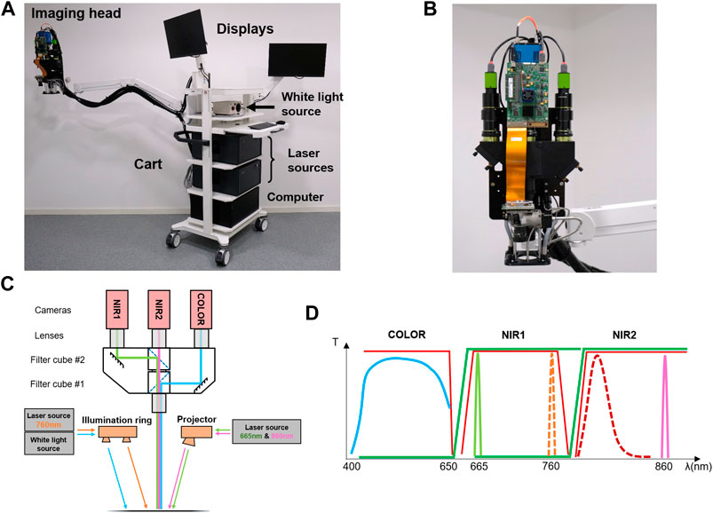 Frontiers  Trident: A dual oxygenation and fluorescence imaging