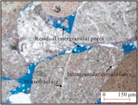 www.frontiersin.org
