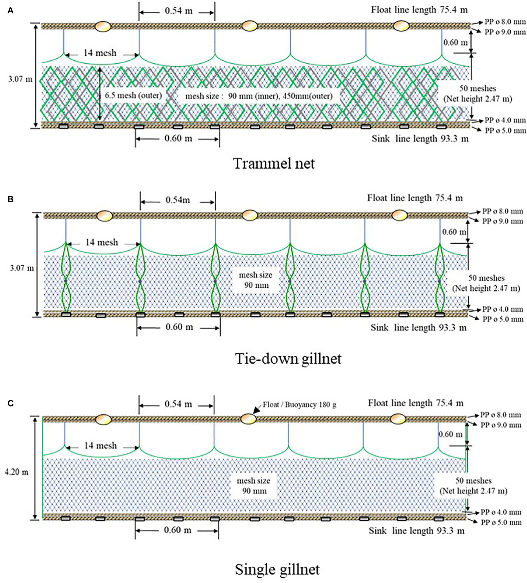 Frontiers  The application of tie-down gillnet to improve the capture of  blackfin flounder (Glyptocephalus stelleri) in a sustainable way