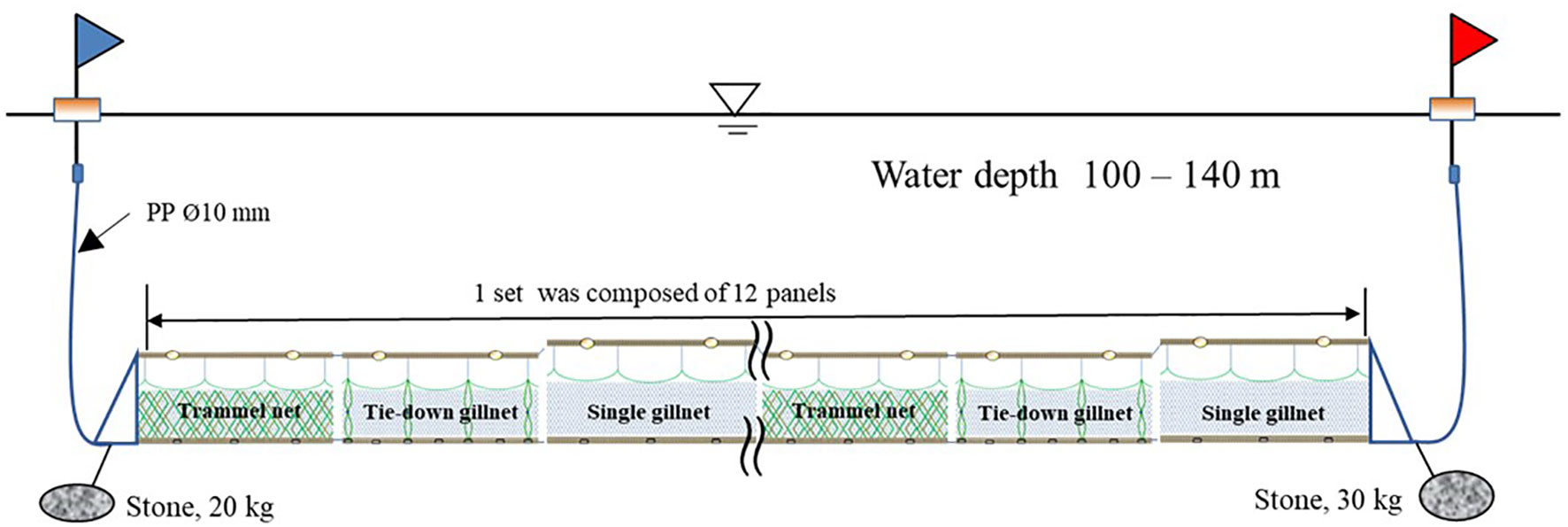 Frontiers  The application of tie-down gillnet to improve the capture of  blackfin flounder (Glyptocephalus stelleri) in a sustainable way