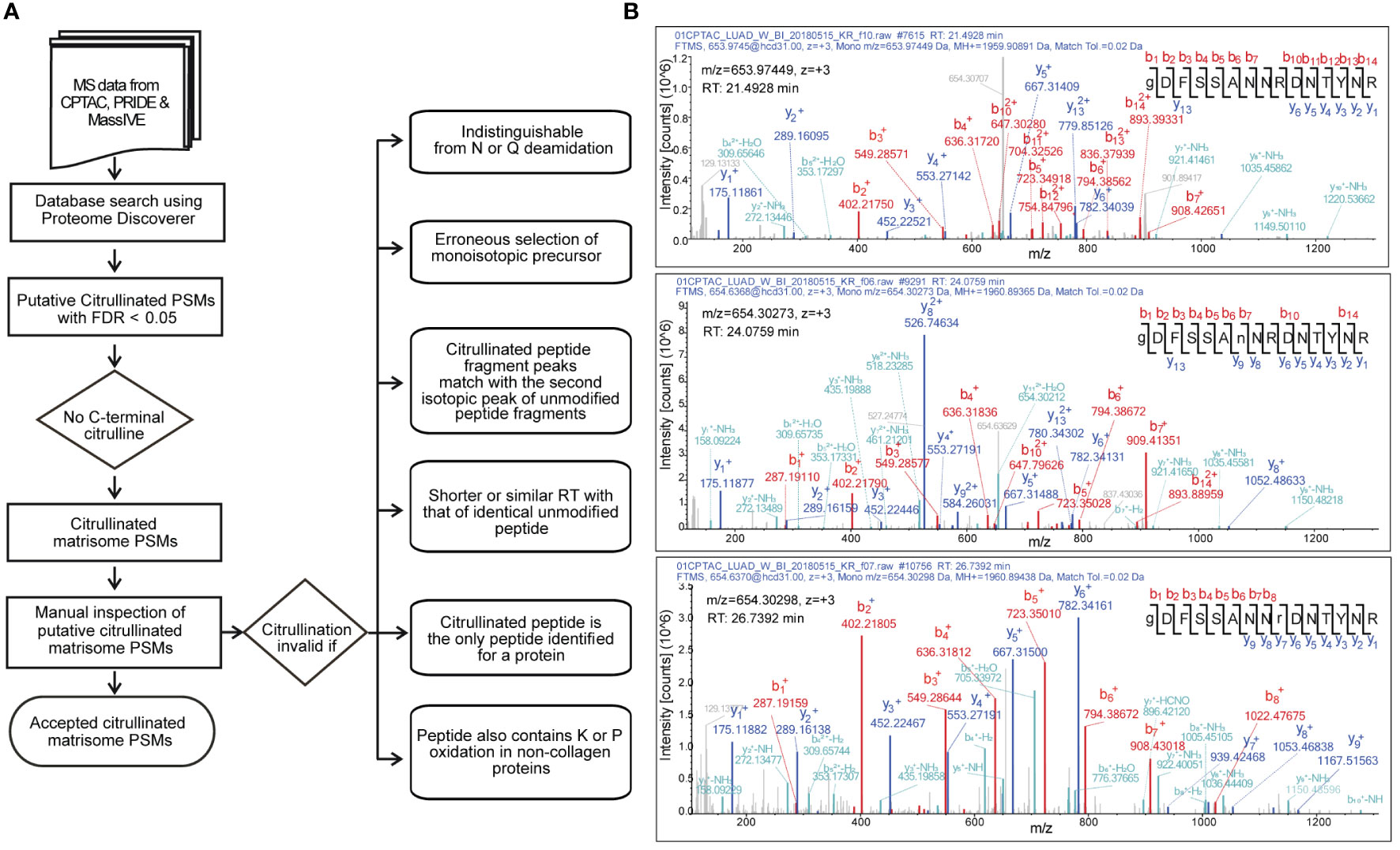 Frontiers  Citrullination of Proteins as a Specific Response