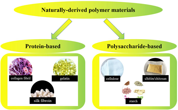 Frontiers | Recent progress in nanocomposites of carbon dioxide