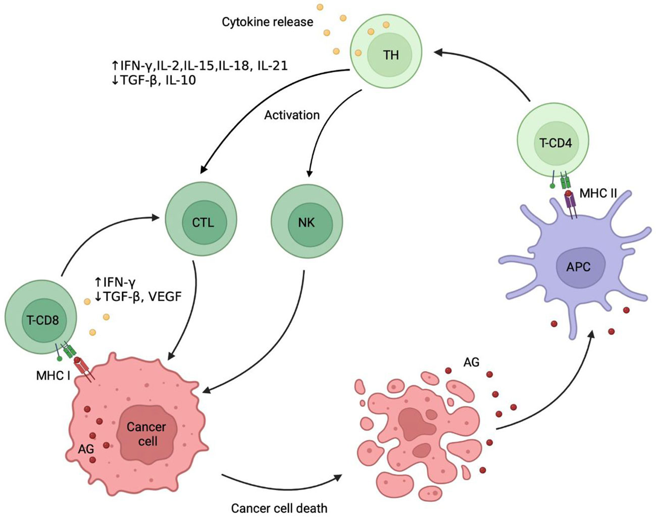 Frontiers Combination Of Immune Checkpoint Inhibitors With Radiation