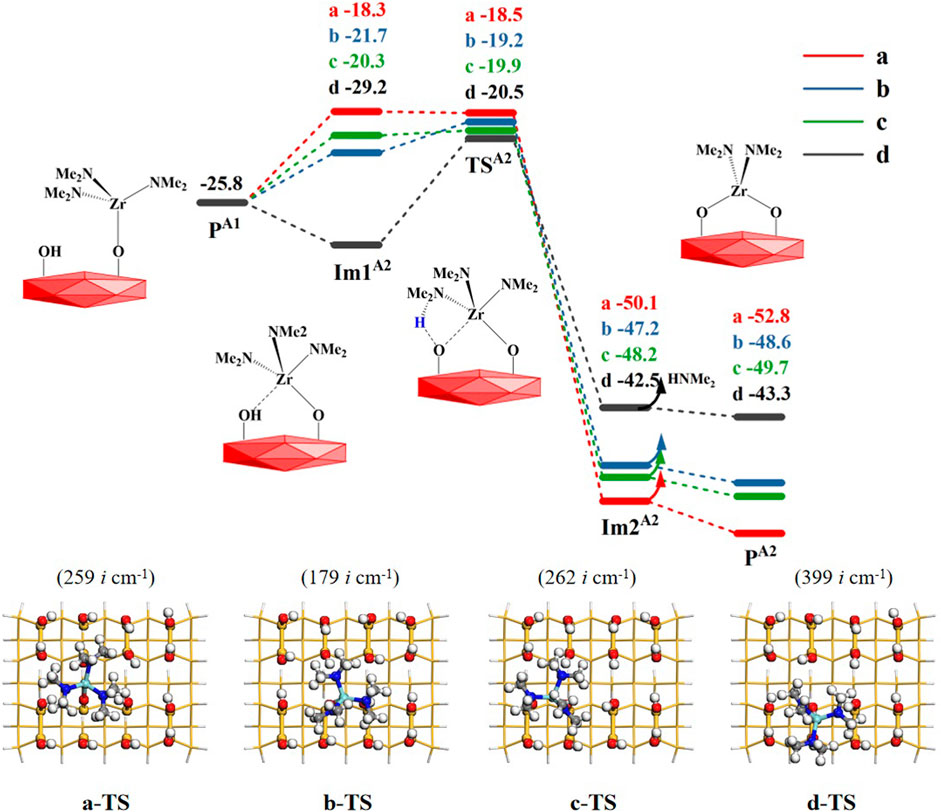Frontiers Reaction mechanism of atomic layer deposition of zirconium