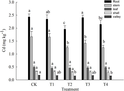 Biochar mitigates bioavailability and environmental risks of