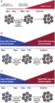 www.frontiersin.org