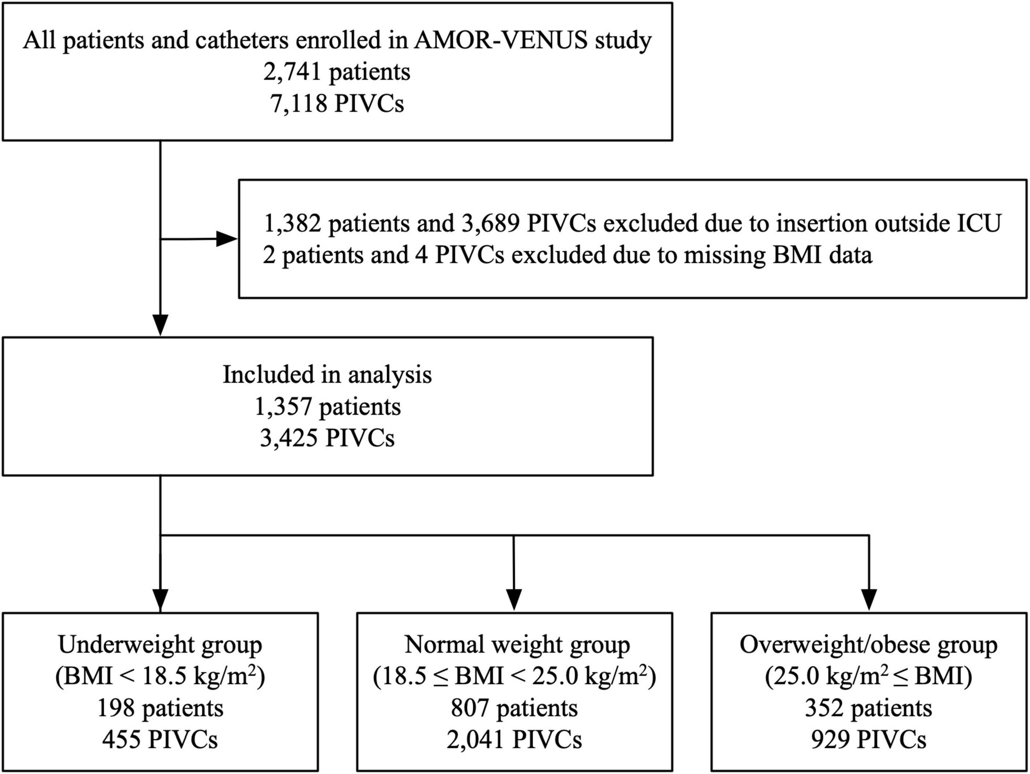 Frontiers | Risk factors for peripheral venous catheter-related phlebitis  stratified by body mass index in critically ill patients: A post-hoc  analysis of the AMOR-VENUS study