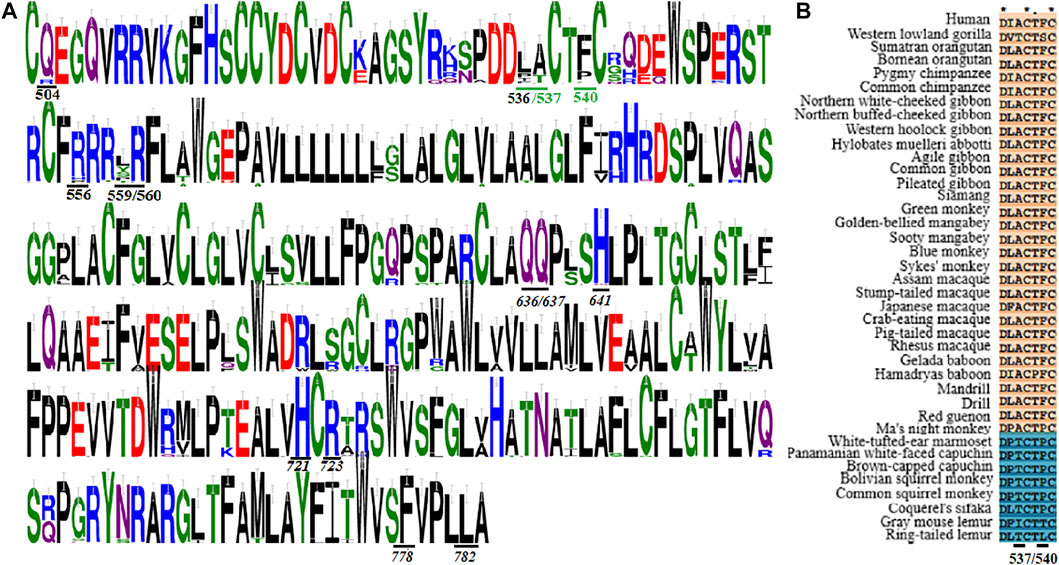 www.frontiersin.org