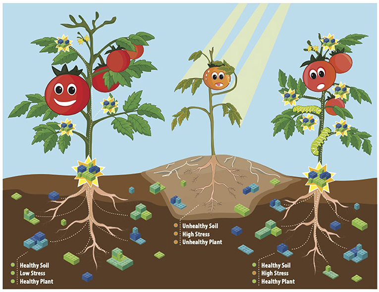 Figure 2 - Specialized metabolites help plants protect themselves from stresses and threats, and they vary based on environmental conditions.