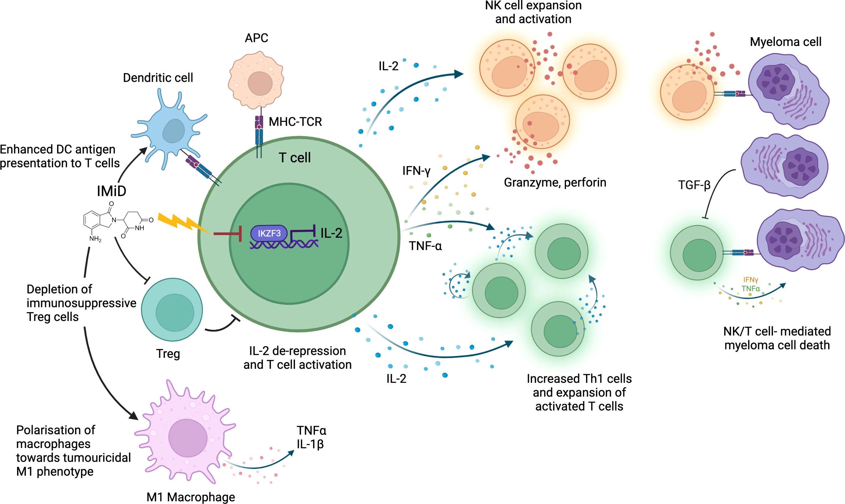 Frontiers | Tumor and microenvironmental mechanisms of resistance to ...