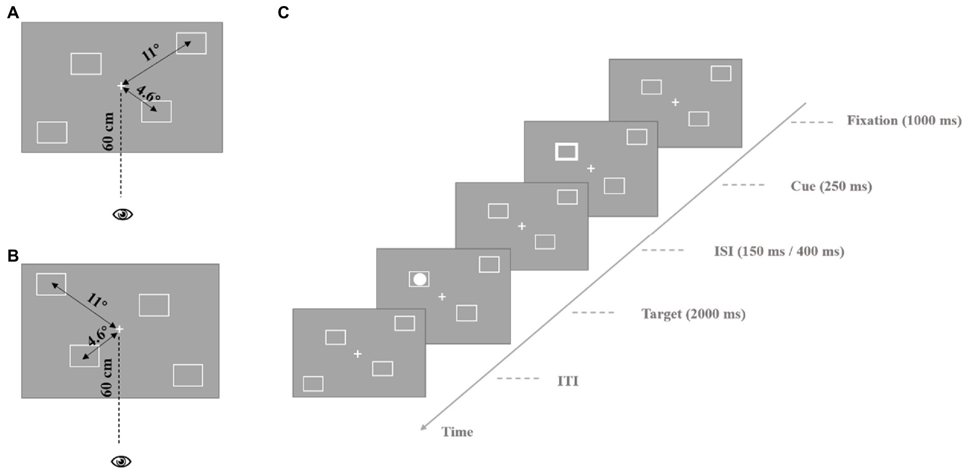 Experimental paradigm of Posner's task.