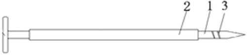 www.frontiersin.org