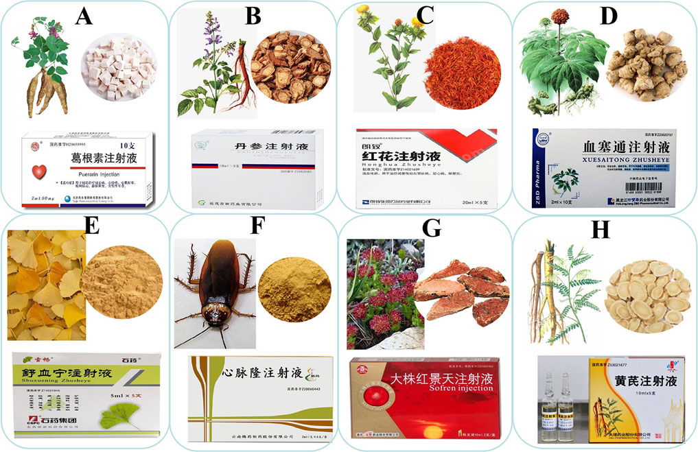 Traditional medicine in China for ischemic stroke: bioactive components,  pharmacology, and mechanisms