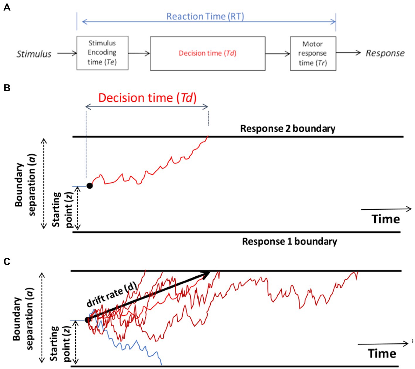 What Is Drift Diffusion Model Catalog Library