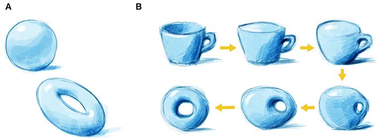 Figure 1 - Topology and shapes.