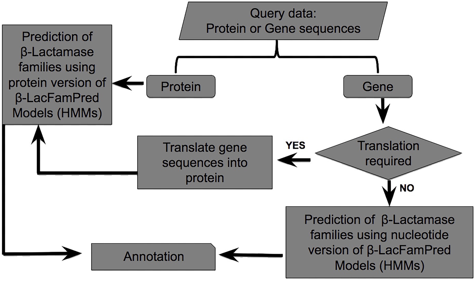 Frontiers LacFamPred An Online Tool For Prediction And 