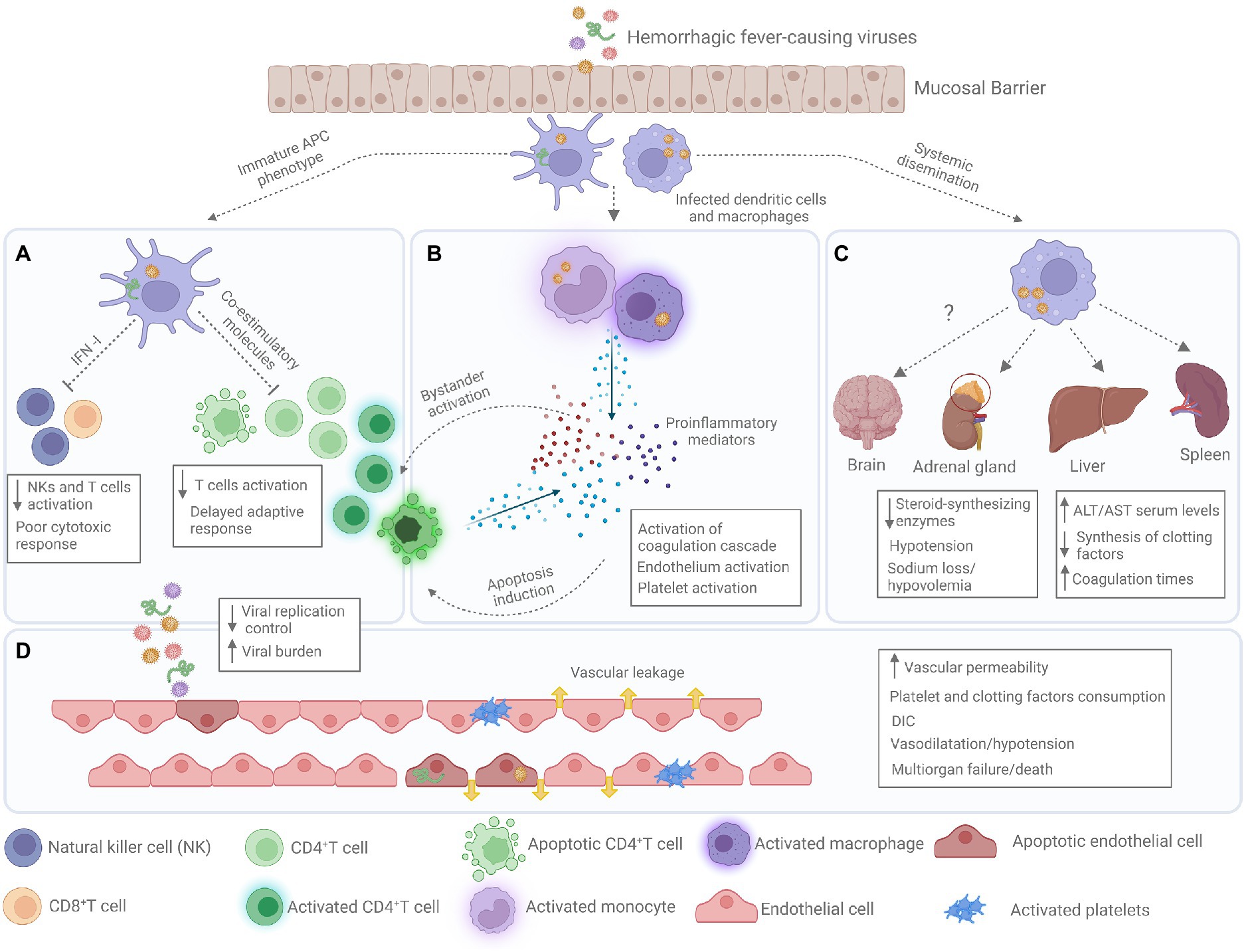 Frontiers Hemorrhagic Fever Viruses Pathogenesis 47 OFF