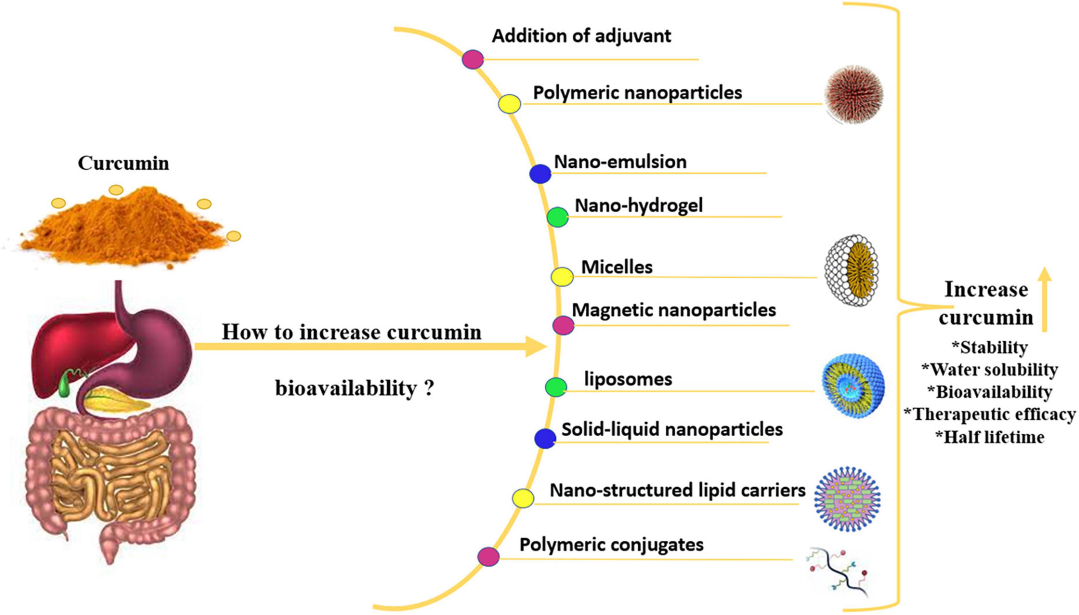 Curcumin Research