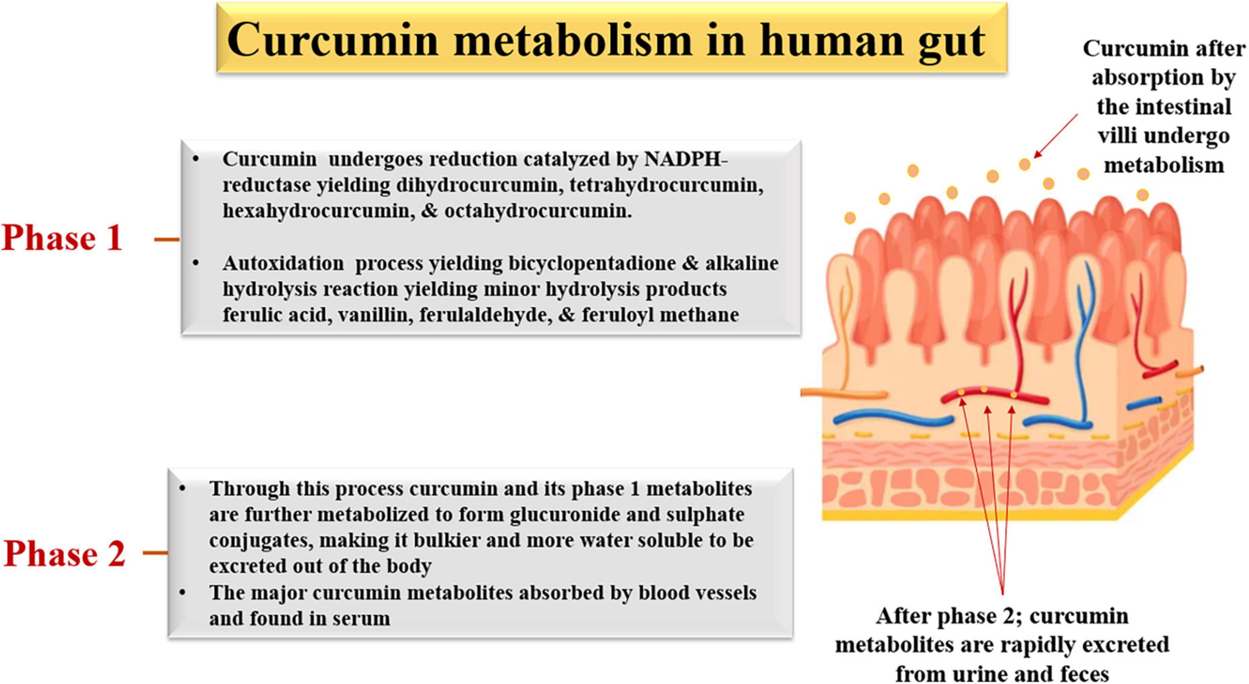 Curcuma pipérine bio éco-responsable 200 gélules - Nutri Naturel