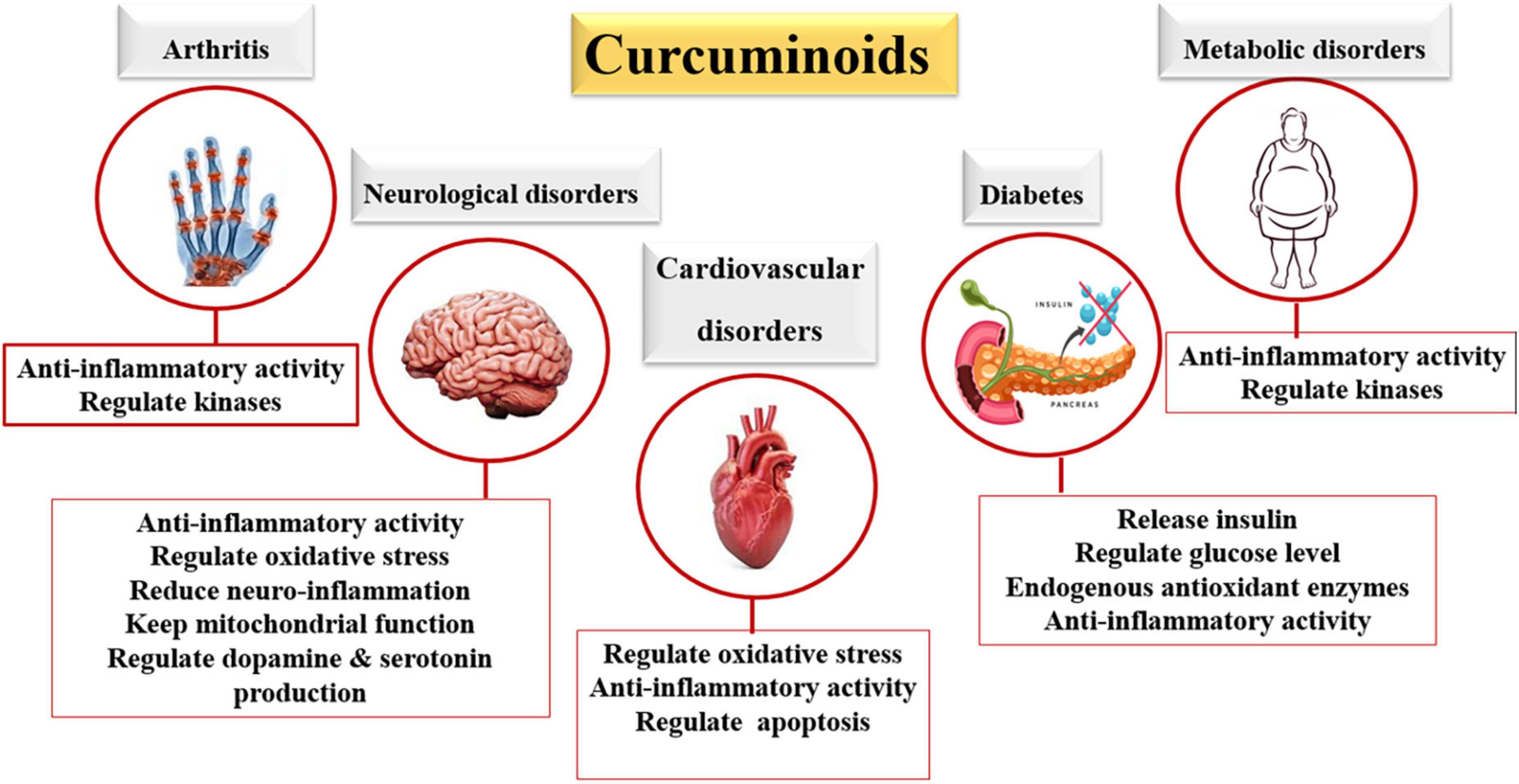 Role of curcumin are actually turmeric benefits which are widely researched.