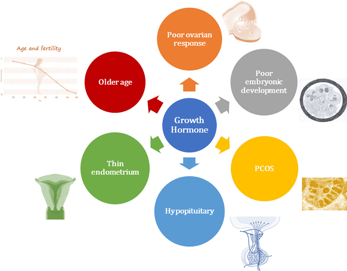 Frontiers  Growth hormone in fertility and infertility: Mechanisms of  action and clinical applications