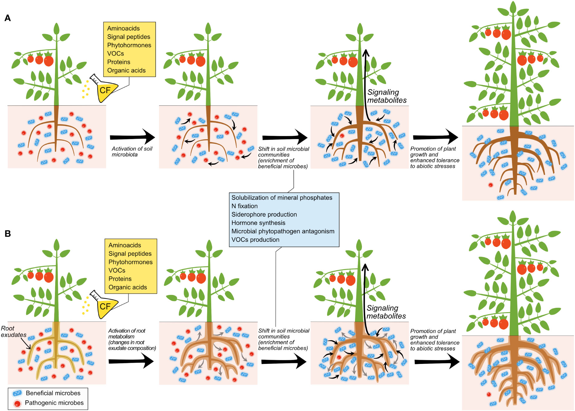 Microorganisms, Free Full-Text